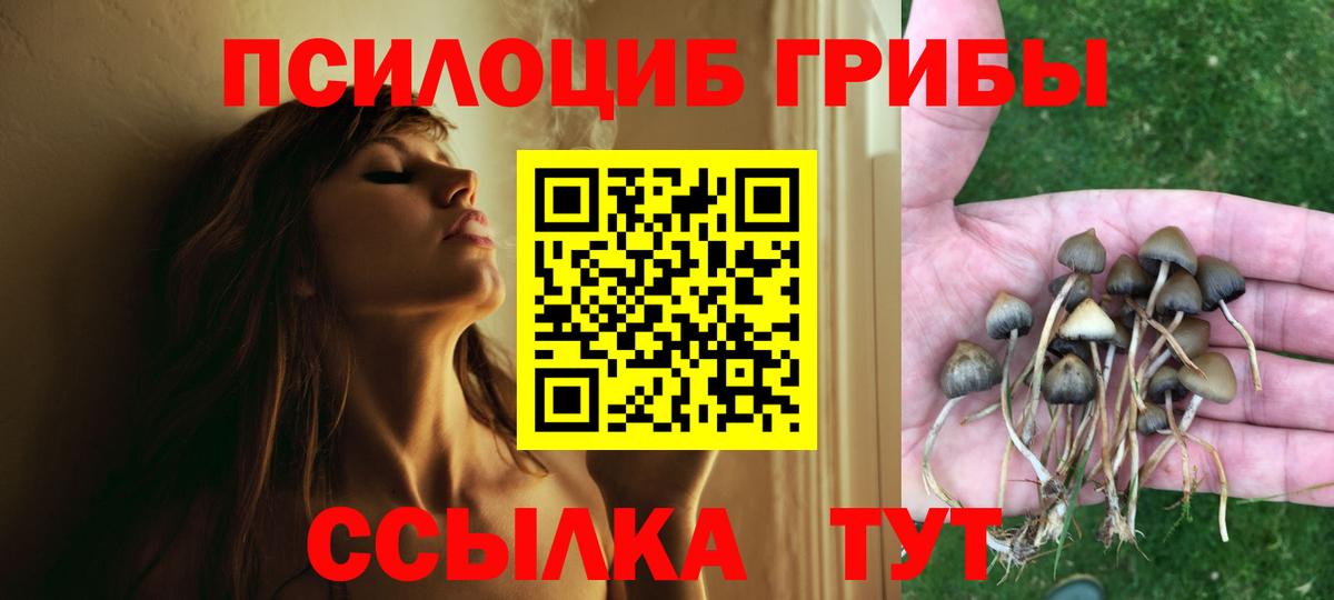 Галлюциногенные грибы прущие грибы  Вход с VPN  Лесозаводск  Галлюциногенные грибы Psilocybe 